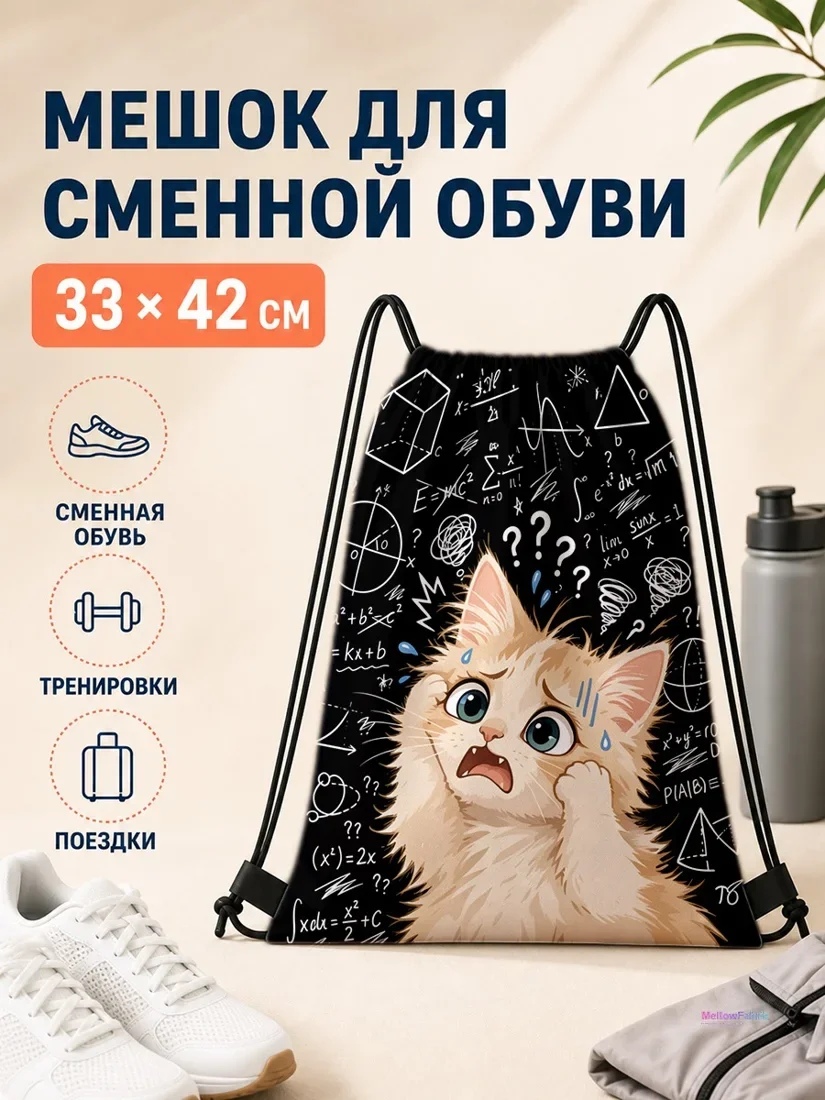 Мешок для сменной обуви с рыжим котом и математическими формулами