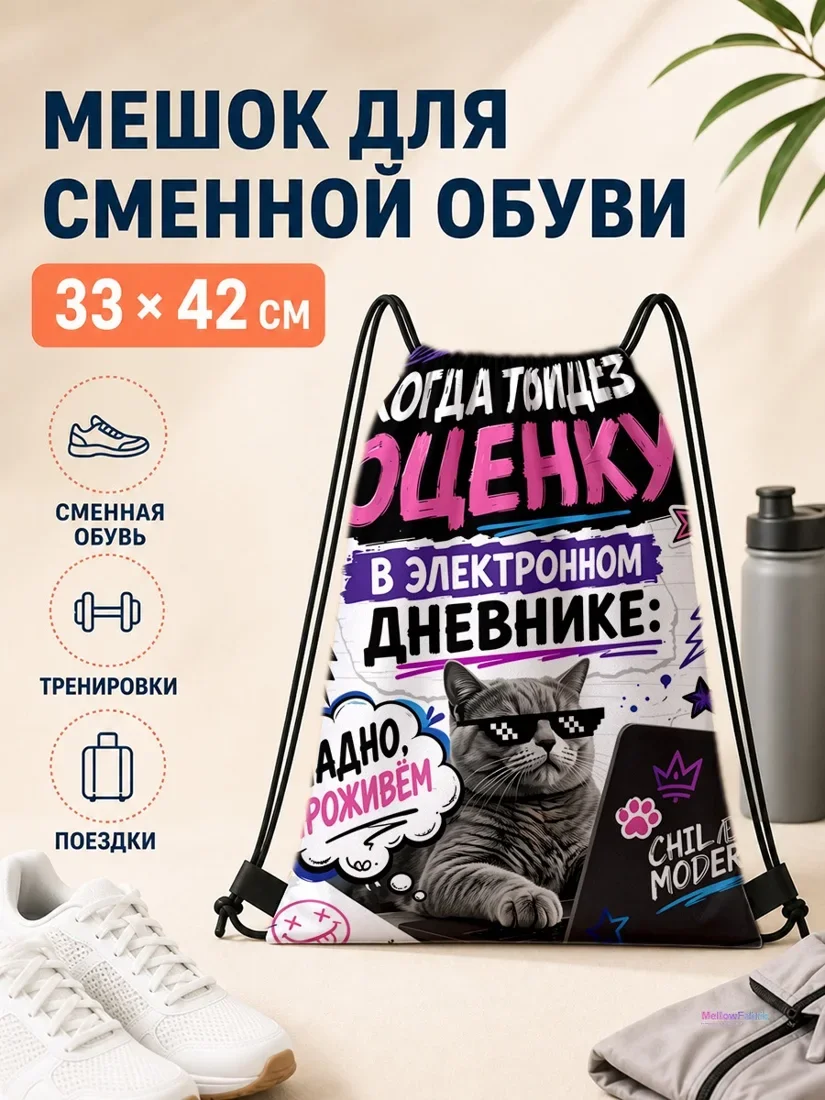 Мешок для сменной обуви с котом в очках 33×42 см